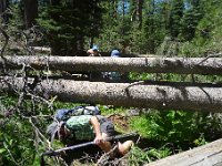 YosemiteCreek 008 : YosemiteCreek